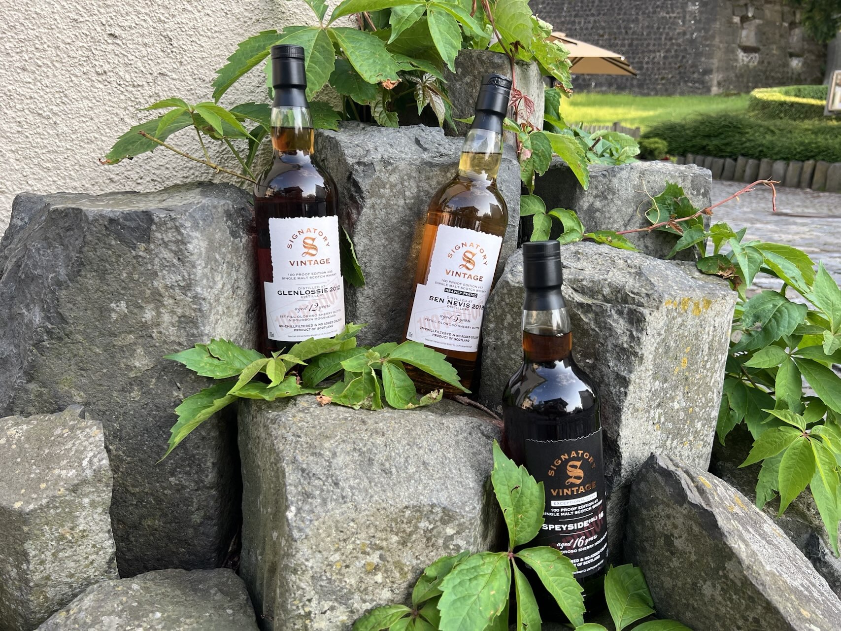 Tasting Juni 2025